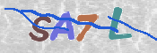 Image Anti-spam